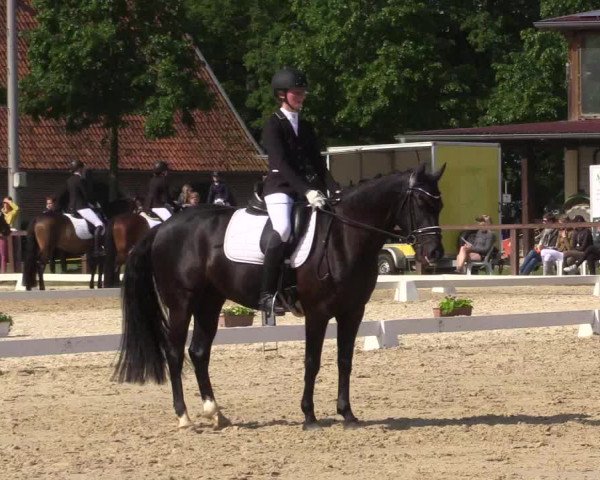 Reitturnier Everswinkel 2023