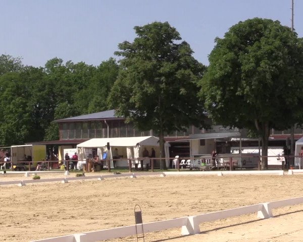 Reitturnier Everswinkel 2023