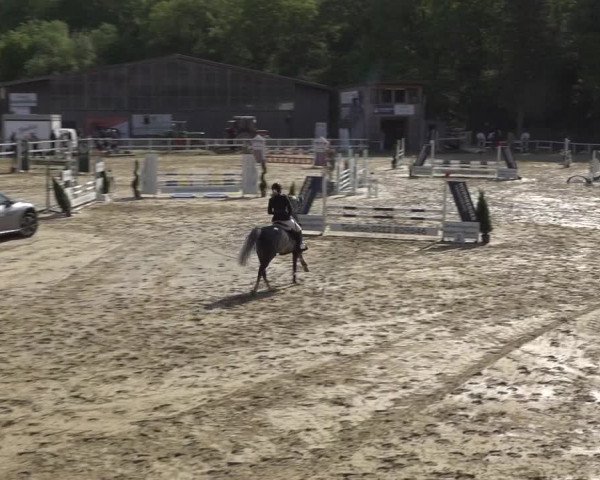 Reitturnier Siegen-Weidenau 2023