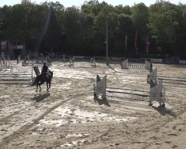 Reitturnier Siegen-Weidenau 2023