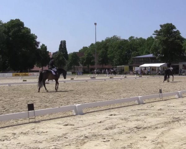 Reitturnier Everswinkel 2023