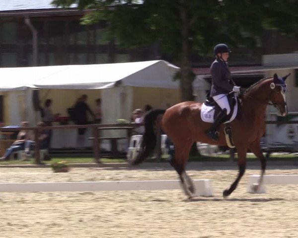 Reitturnier Everswinkel 2023