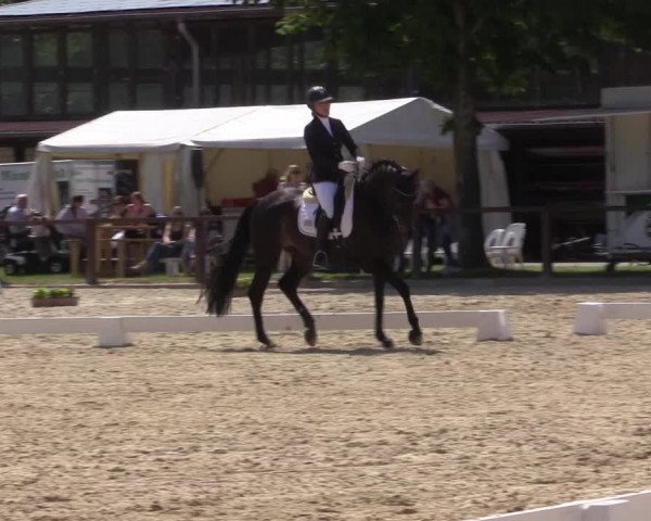 Reitturnier Everswinkel 2023