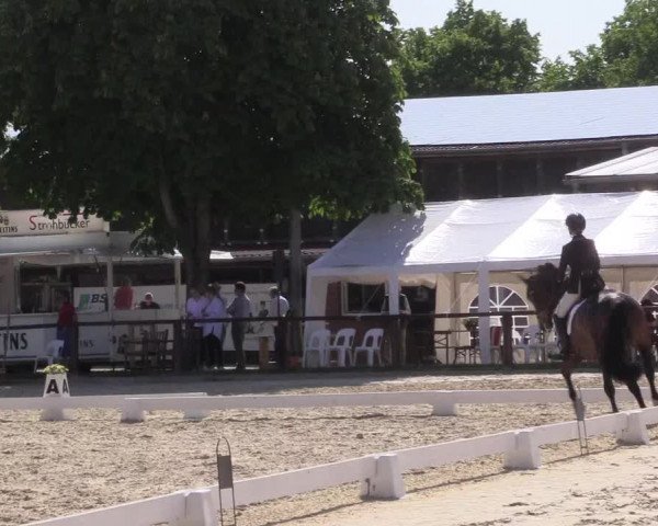 Reitturnier Everswinkel 2023