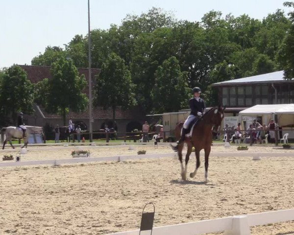 Reitturnier Everswinkel 2023
