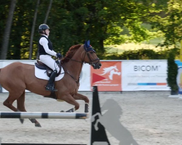Reitturnier Karlsfeld/Obb. 2023