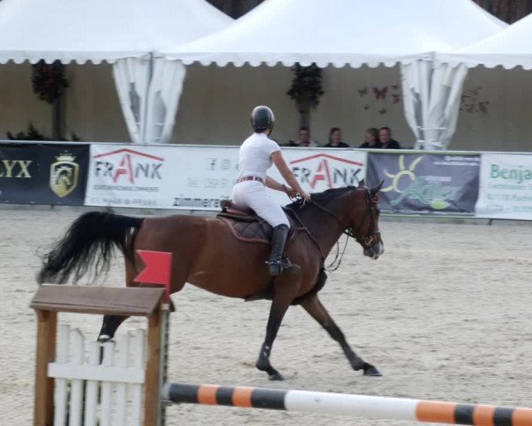 Reitturnier Karlsfeld/Obb. 2023