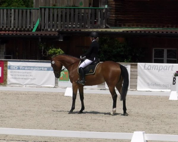 Reitturnier Schüpfheim 2023