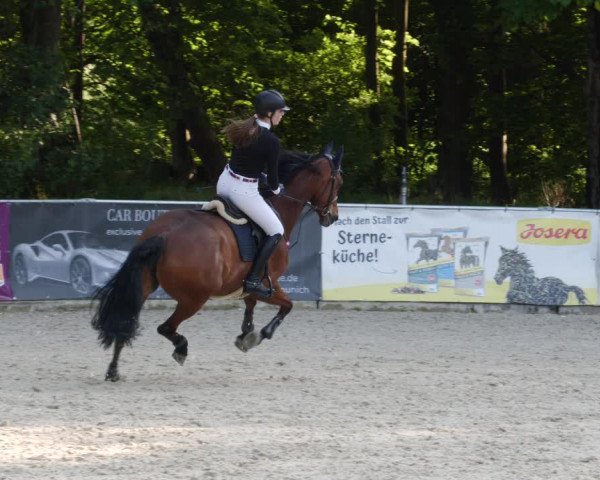 Reitturnier Karlsfeld/Obb. 2023