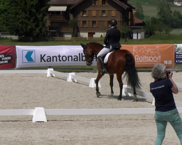 Reitturnier Schüpfheim 2023
