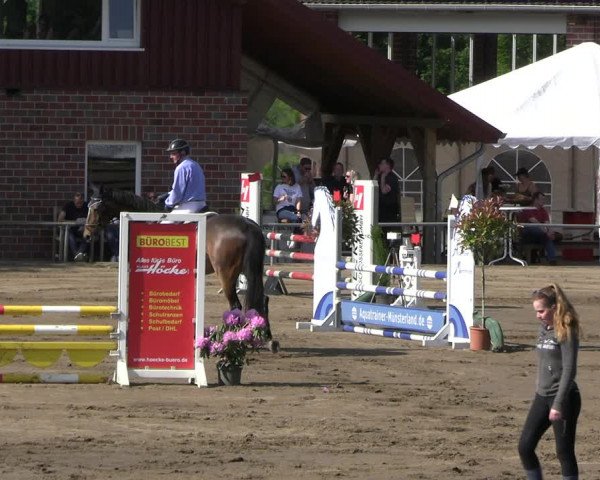Reitturnier Seppenrade 2023