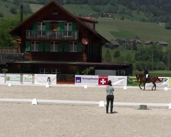 Reitturnier Schüpfheim 2023