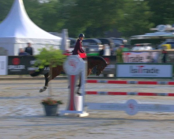 Reitturnier Borken Reitanlage Sportpferde Ehning 2023