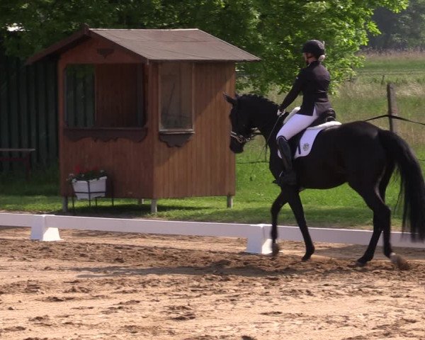 Reitturnier Westeregeln 2023