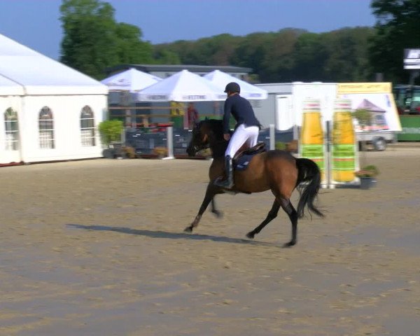 Reitturnier Borken Reitanlage Sportpferde Ehning 2023