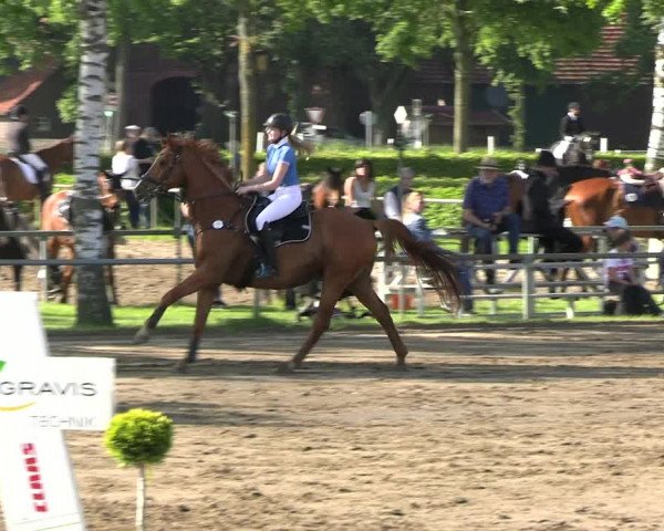 Reitturnier Seppenrade 2023