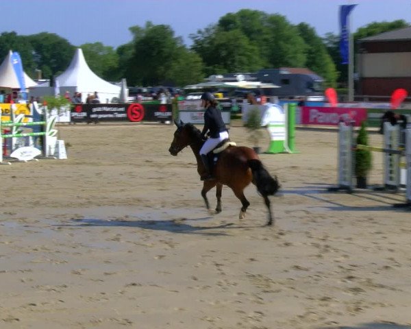 Reitturnier Borken Reitanlage Sportpferde Ehning 2023