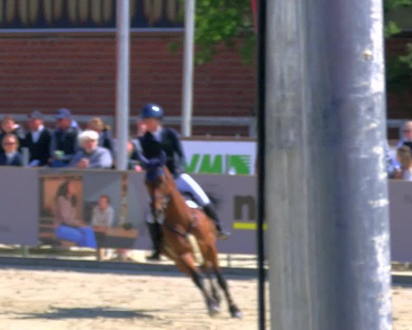 Reitturnier Borken Reitanlage Sportpferde Ehning 2023