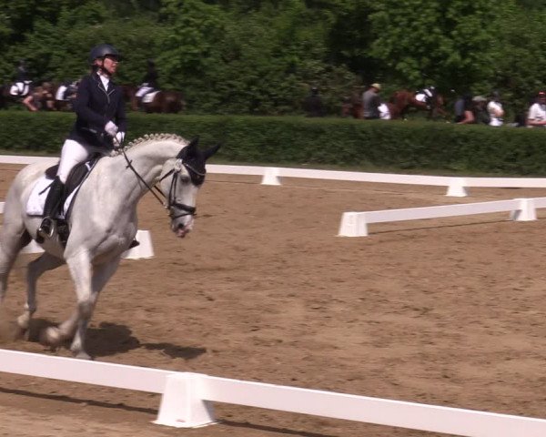 Reitturnier Westeregeln 2023