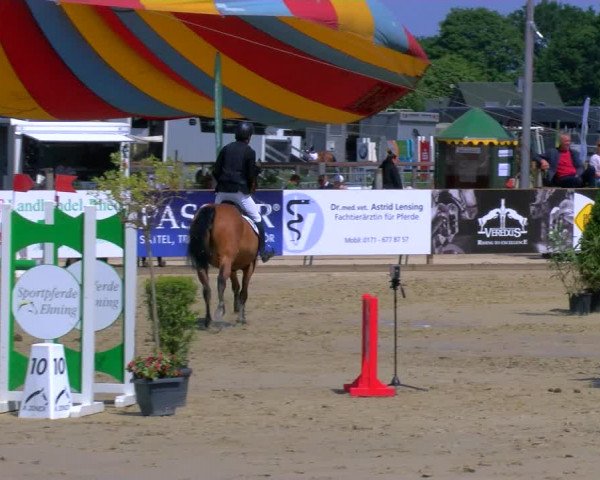 Reitturnier Borken Reitanlage Sportpferde Ehning 2023