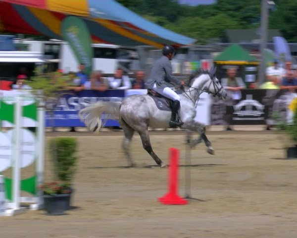 Reitturnier Borken Reitanlage Sportpferde Ehning 2023