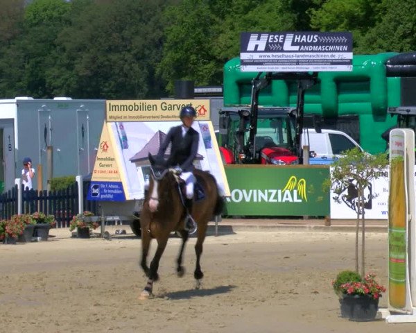 Reitturnier Borken Reitanlage Sportpferde Ehning 2023