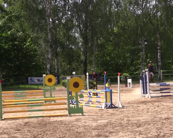 Reitturnier Lgl.-Oberhain 2023