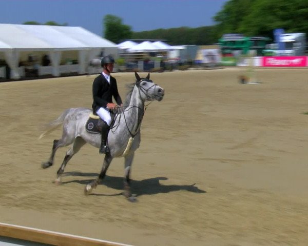Reitturnier Borken Reitanlage Sportpferde Ehning 2023