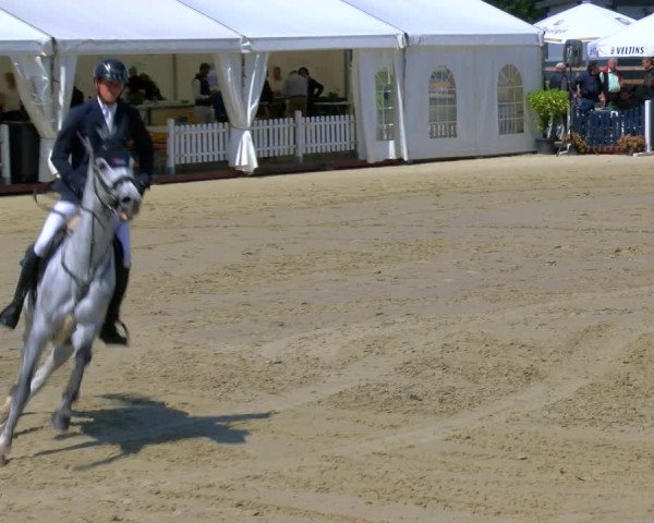 Reitturnier Borken Reitanlage Sportpferde Ehning 2023