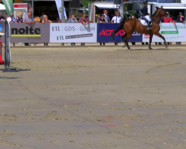 Reitturnier Borken Reitanlage Sportpferde Ehning 2023