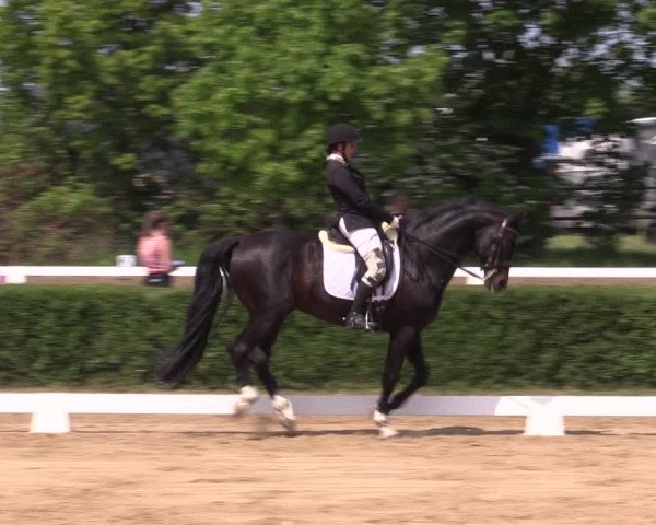 Reitturnier Westeregeln 2023