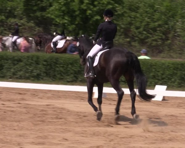 Reitturnier Westeregeln 2023