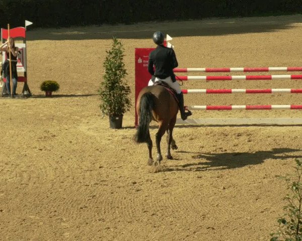 Reitturnier Böblingen 2021