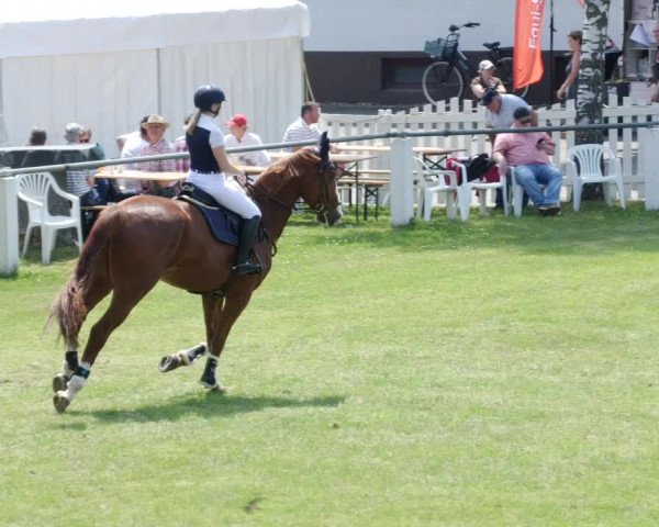 Reitturnier Forst 2023