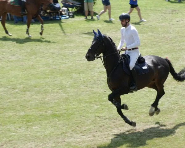 Reitturnier Forst 2023