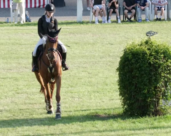 Reitturnier Forst 2023
