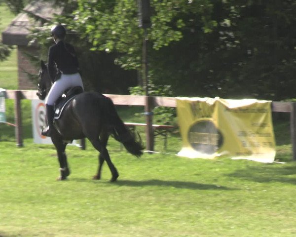 Reitturnier Pennigbüttel 2023