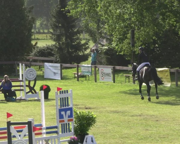 Reitturnier Pennigbüttel 2023