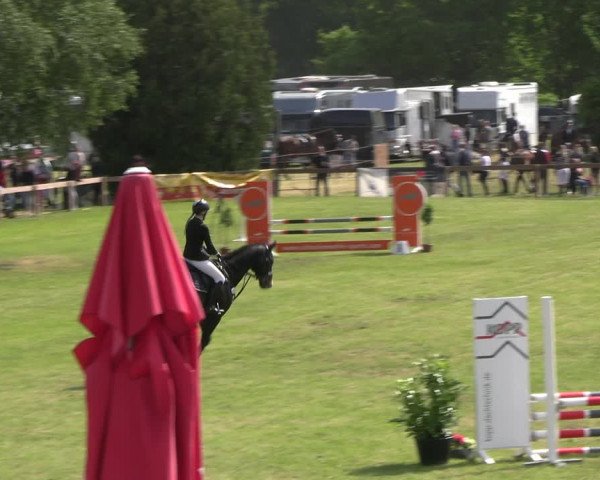 Reitturnier Pennigbüttel 2023