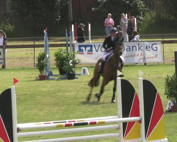 Reitturnier Pennigbüttel 2023
