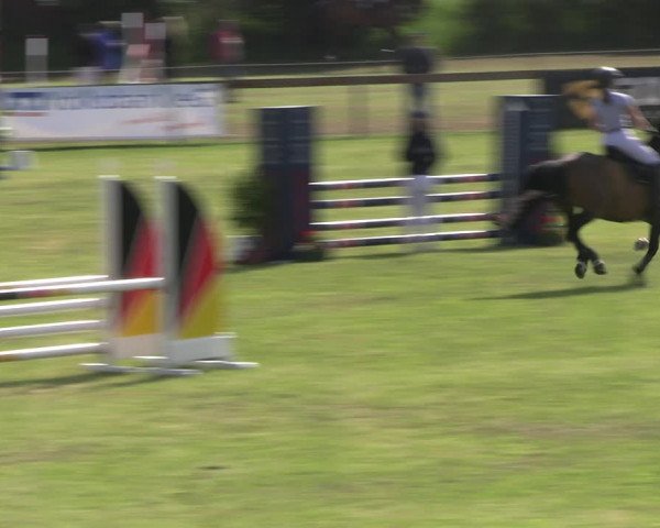 Reitturnier Pennigbüttel 2023