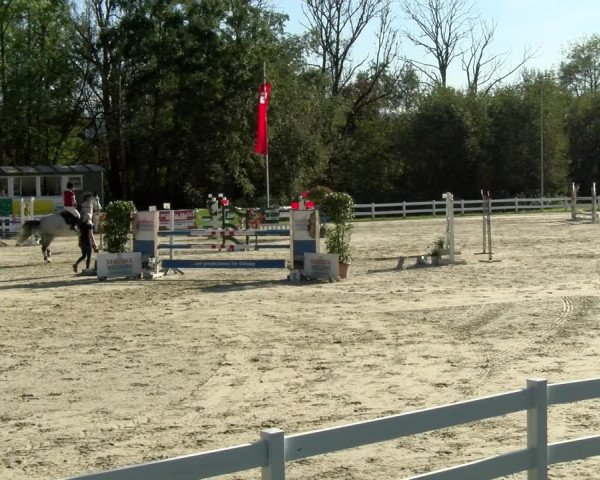 Reitturnier Isny-Rohrdorf 2021