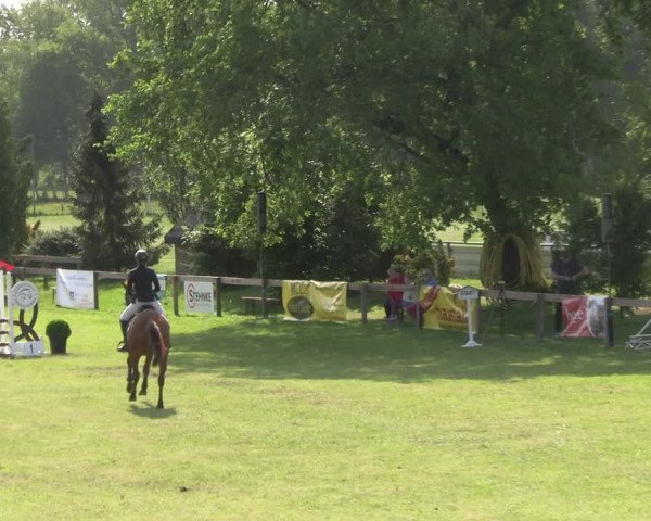 Reitturnier Pennigbüttel 2023