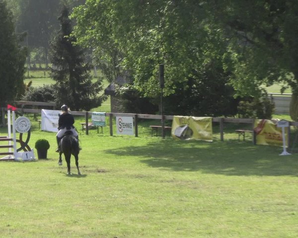 Reitturnier Pennigbüttel 2023