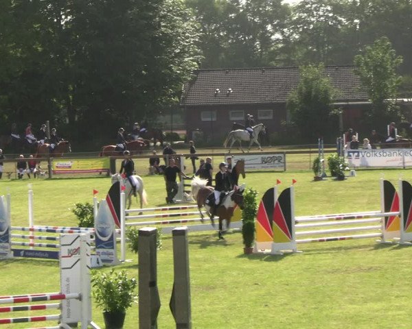 Reitturnier Pennigbüttel 2023