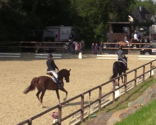 Reitturnier Iserlohn-Kalthof 2023