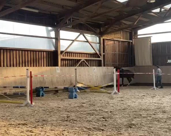Video von Cambridge