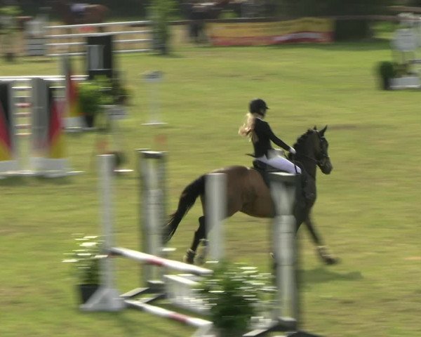 Reitturnier Pennigbüttel 2023