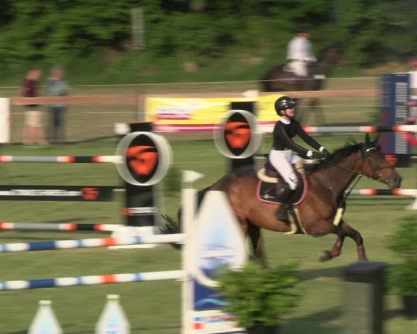 Reitturnier Pennigbüttel 2023