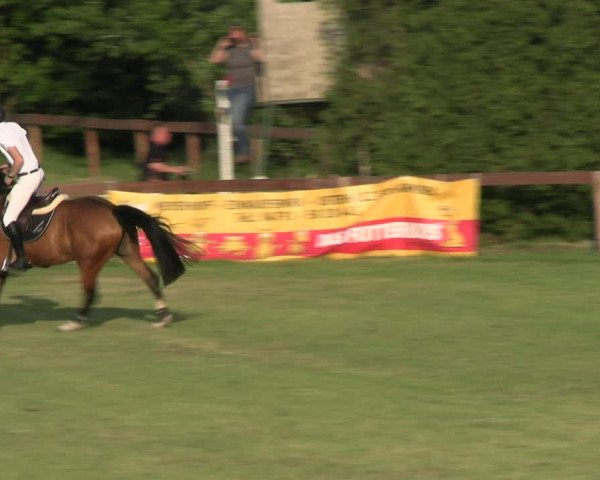 Reitturnier Pennigbüttel 2023